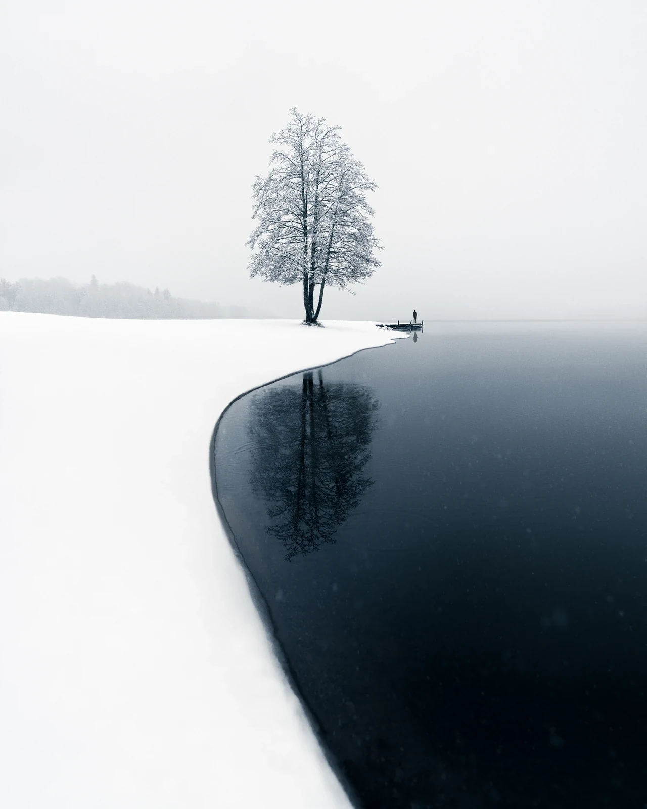 Lone winter tree reflected in dark still water beside fresh snow