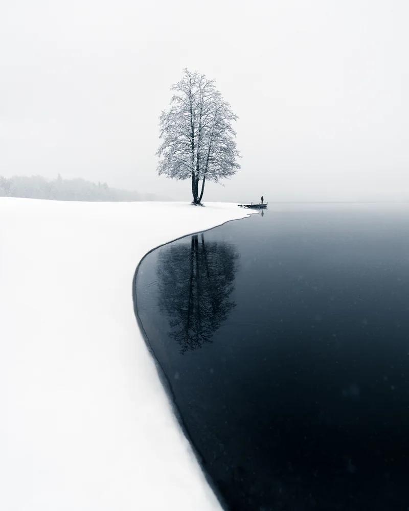 Lone winter tree reflected in dark still water beside fresh snow