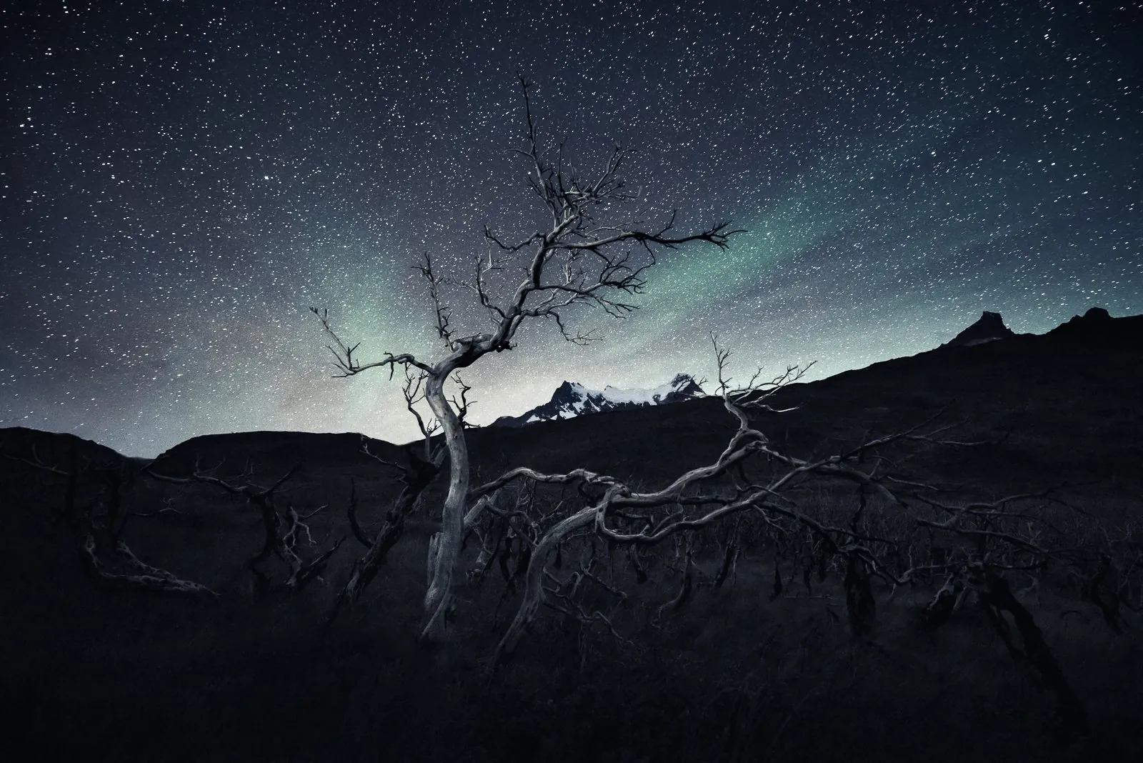 Burned, a Patagonian landscape photograph from the Patagonia collection by Mikko Lagerstedt.