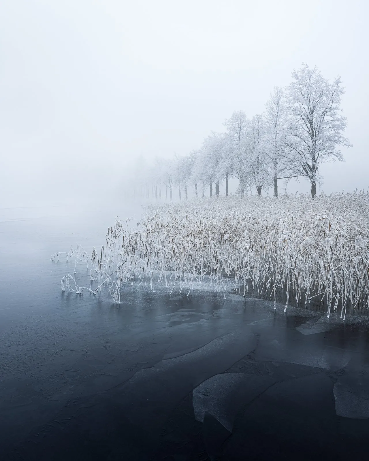 Edge of Silence, an atmospheric landscape photograph from the Recent collection by Mikko Lagerstedt.