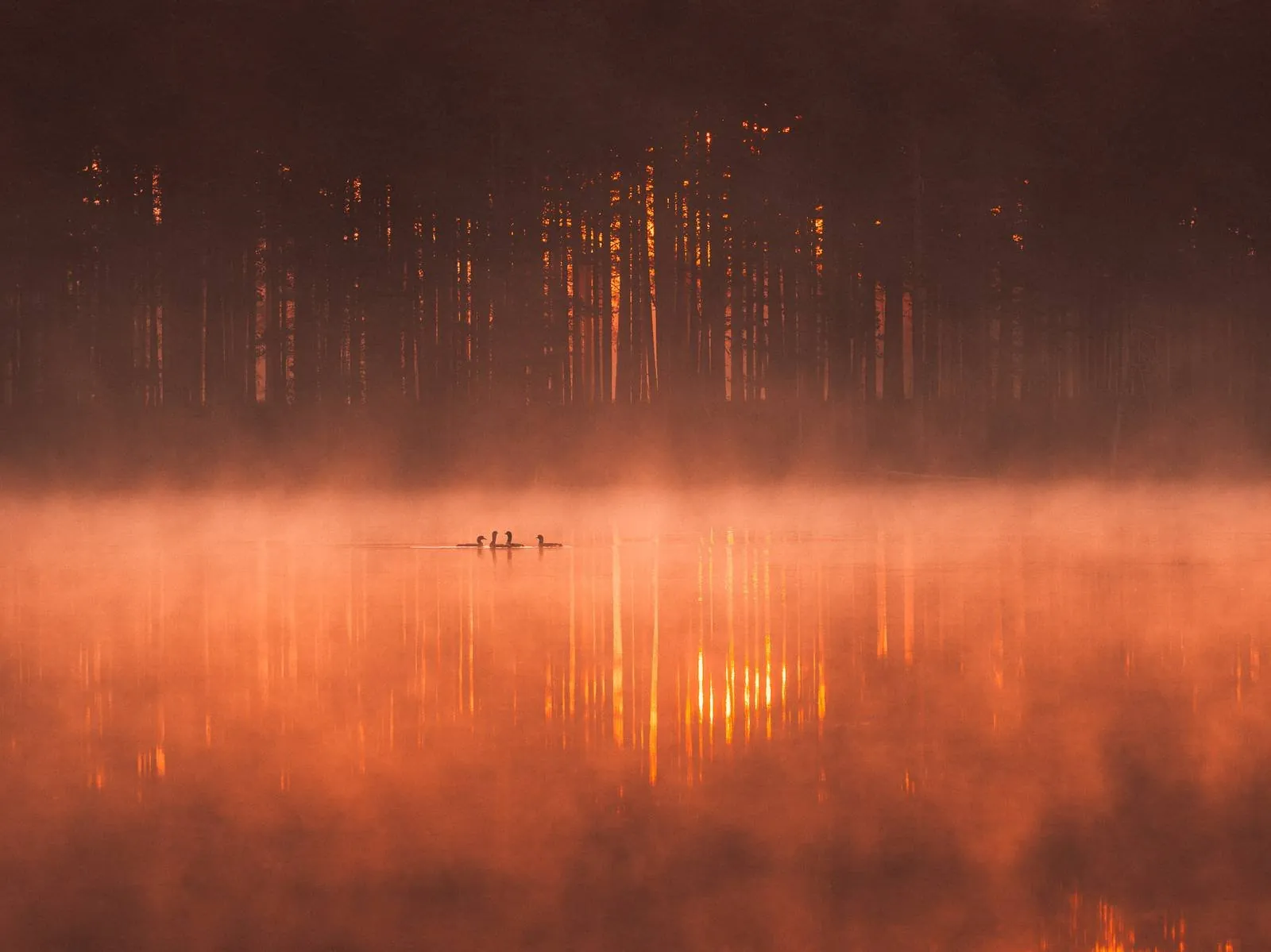 Morning Sonnet, an atmospheric landscape photograph from the Recent collection by Mikko Lagerstedt.