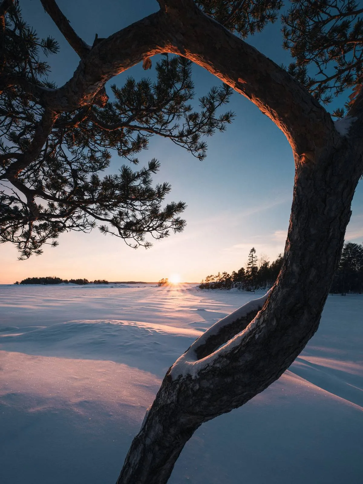 Reaching for the Light, an atmospheric landscape photograph from the Recent collection by Mikko Lagerstedt.