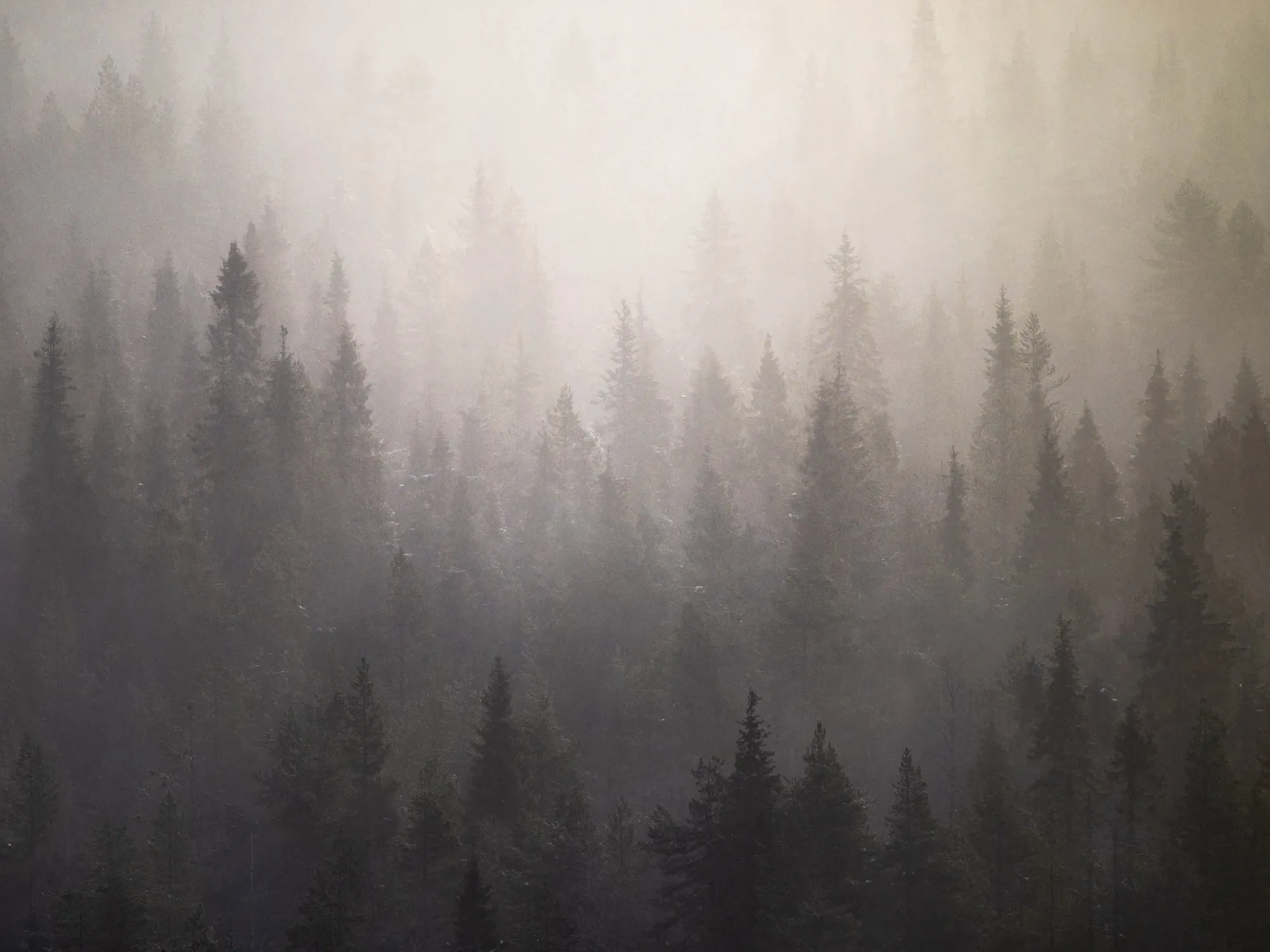 Harmonia, an atmospheric landscape photograph from the Recent collection by Mikko Lagerstedt.