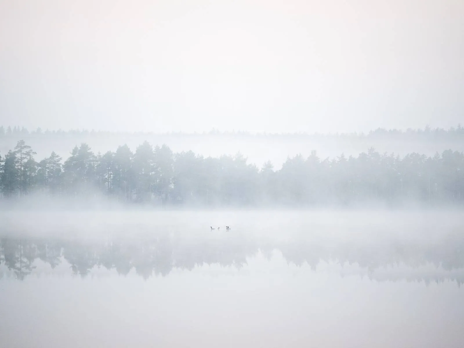 Silent Journey, an atmospheric landscape photograph from the Recent collection by Mikko Lagerstedt.