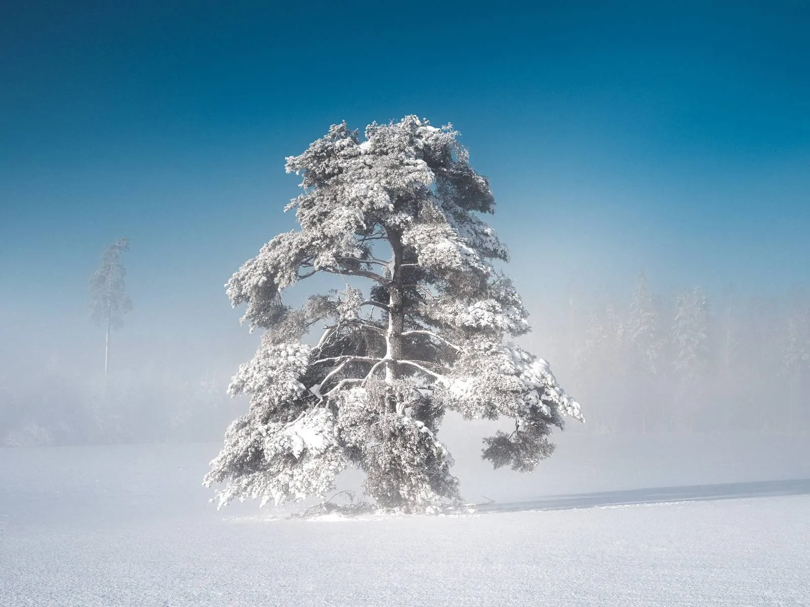 Whispers of Winter, an atmospheric landscape photograph from the Recent collection by Mikko Lagerstedt.