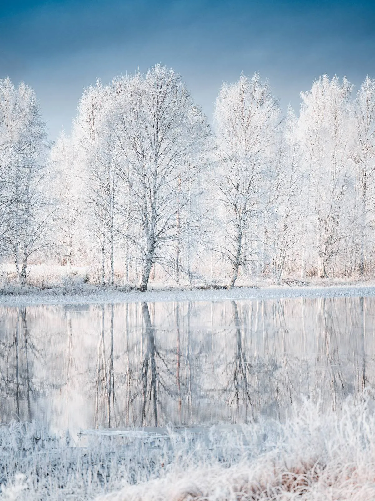Winter's Embrace, an atmospheric landscape photograph from the Recent collection by Mikko Lagerstedt.