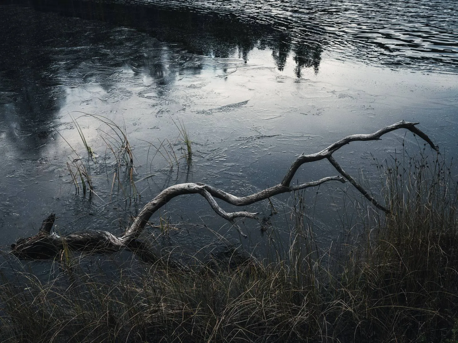 Winter's Grasp, an atmospheric landscape photograph from the Recent collection by Mikko Lagerstedt.