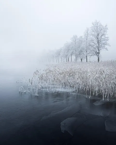 Minimal winter lakeshore fading into soft fog from the Recent gallery by Mikko Lagerstedt