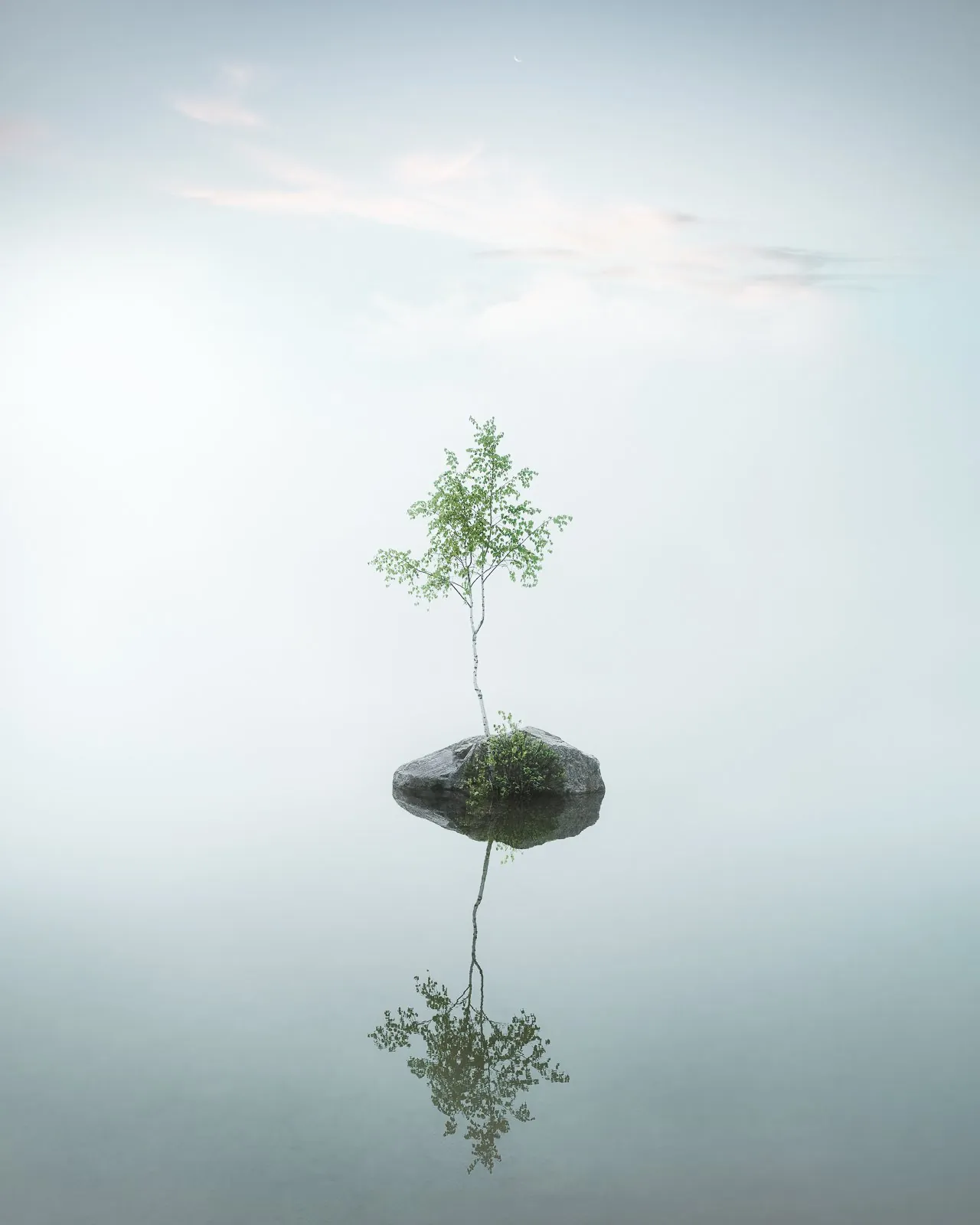 Fragile, a minimal winter landscape photograph from the Resilience collection by Mikko Lagerstedt.