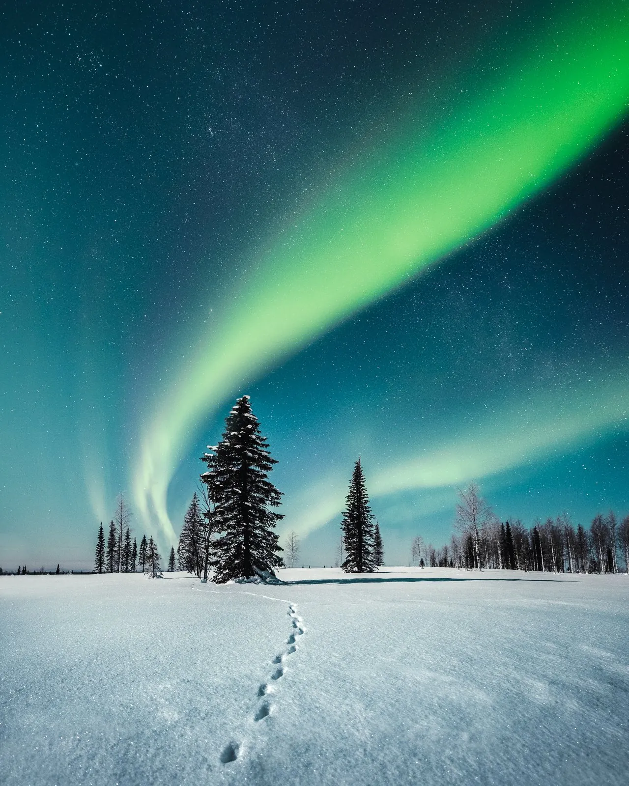 Guiding Light, a minimal winter landscape photograph from the Resilience collection by Mikko Lagerstedt.