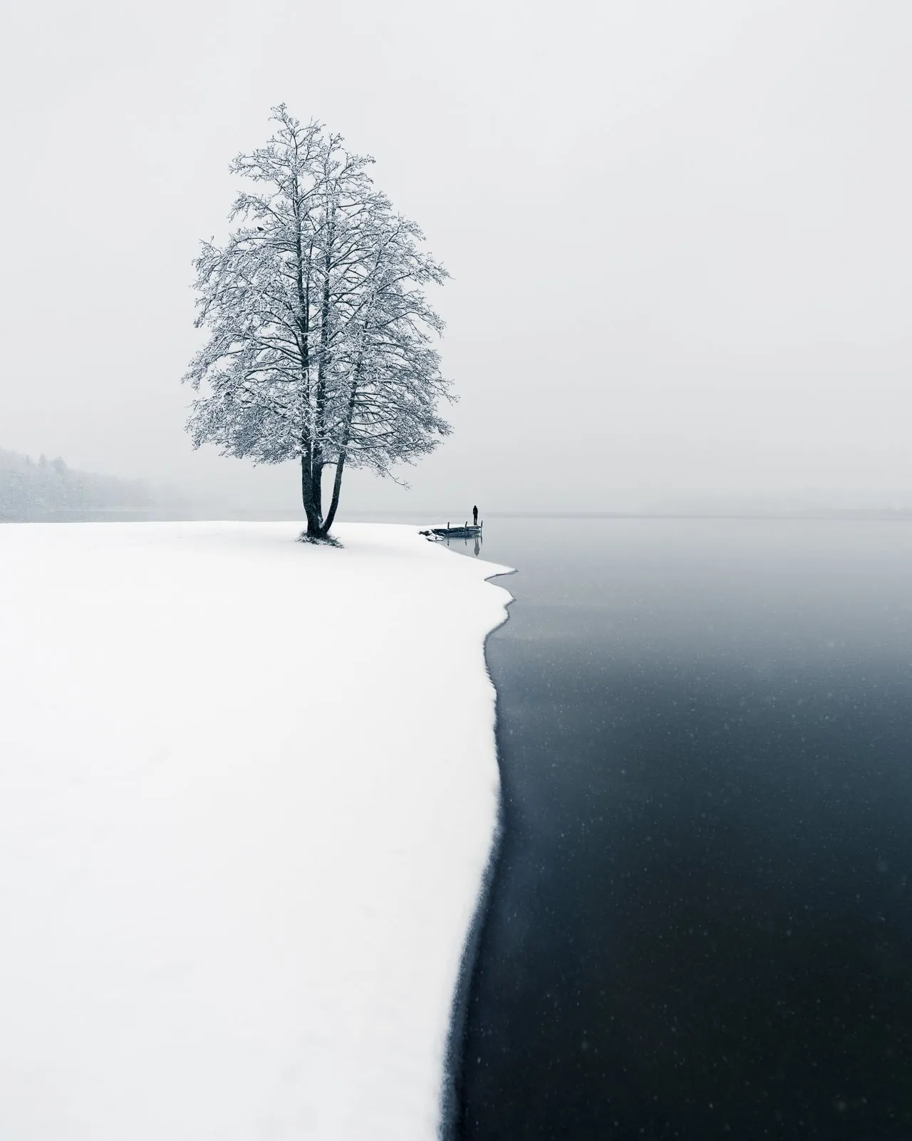 First Snow, a minimal winter landscape photograph from the Resilience collection by Mikko Lagerstedt.