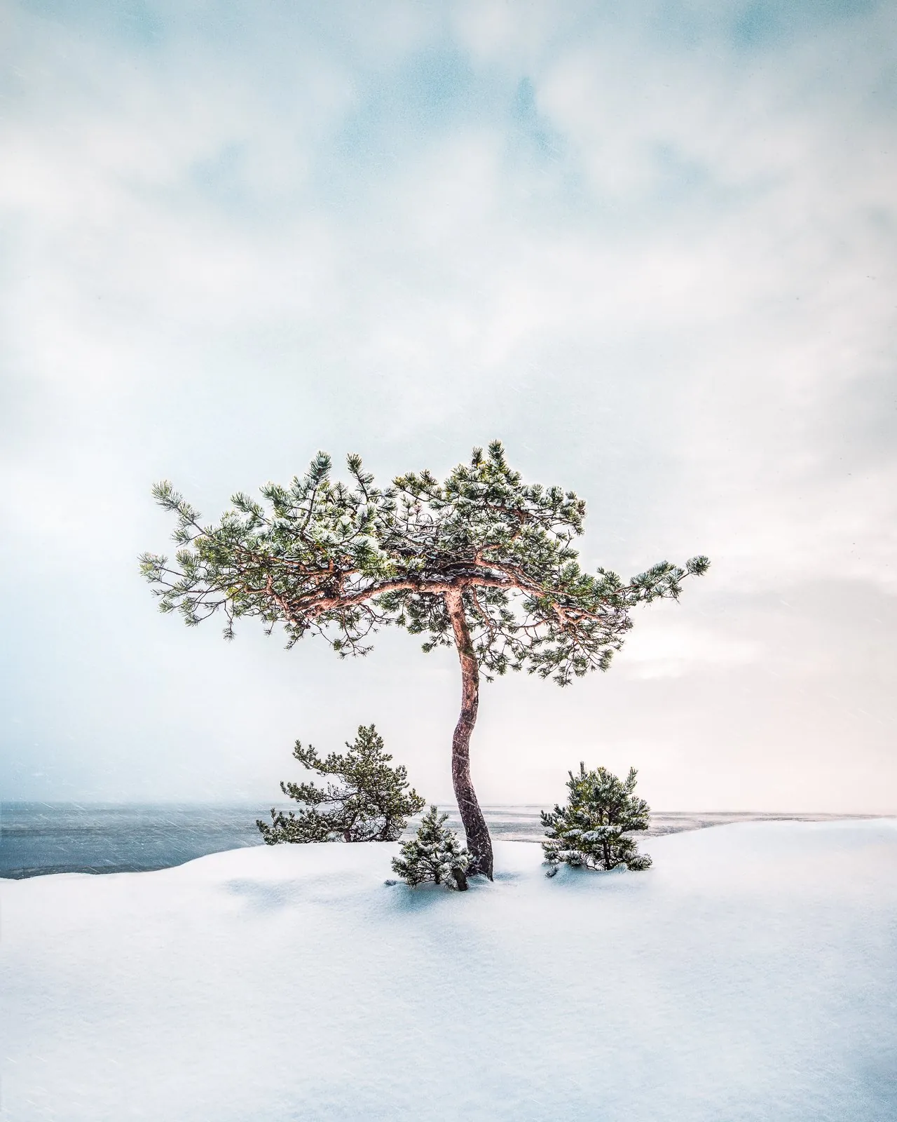 Fresh Snow, a minimal winter landscape photograph from the Resilience collection by Mikko Lagerstedt.