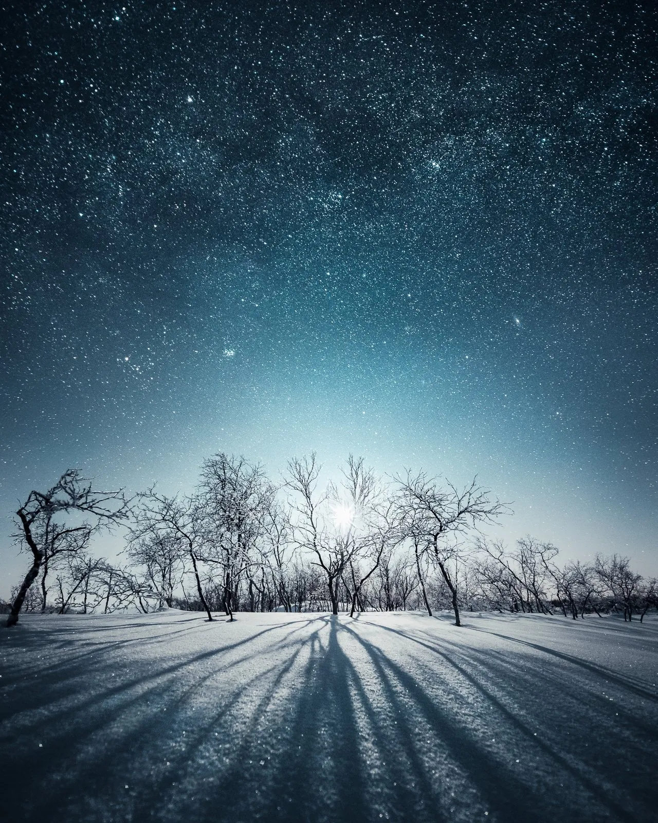 Long Shadows, a minimal winter landscape photograph from the Resilience collection by Mikko Lagerstedt.