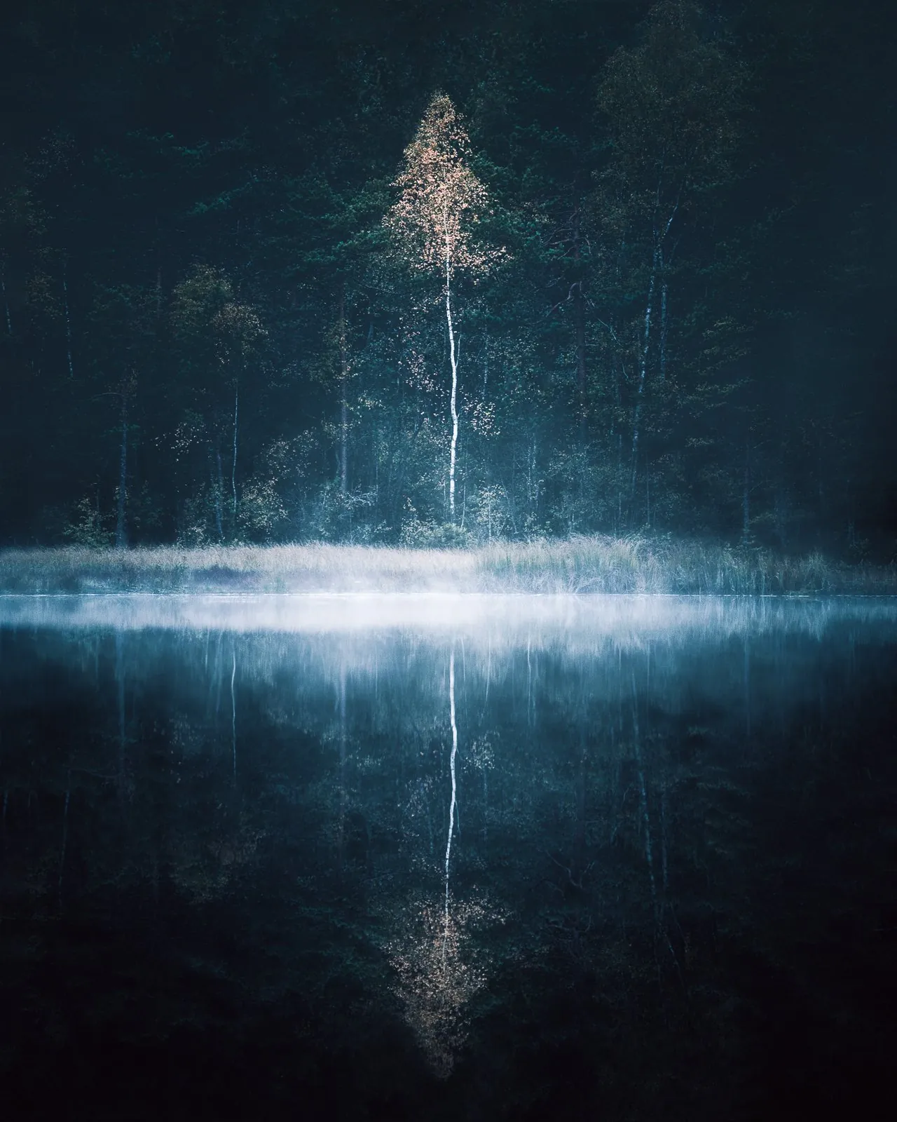 Embracing The Darkness, a minimal winter landscape photograph from the Resilience collection by Mikko Lagerstedt.
