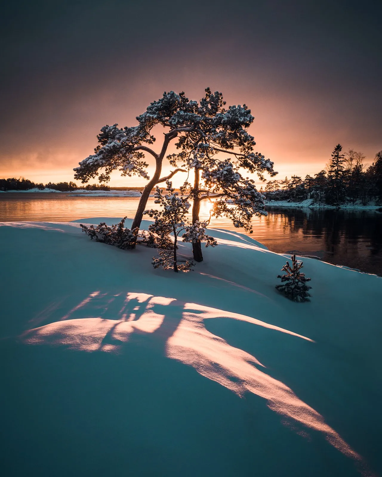 Family, a minimal winter landscape photograph from the Resilience collection by Mikko Lagerstedt.