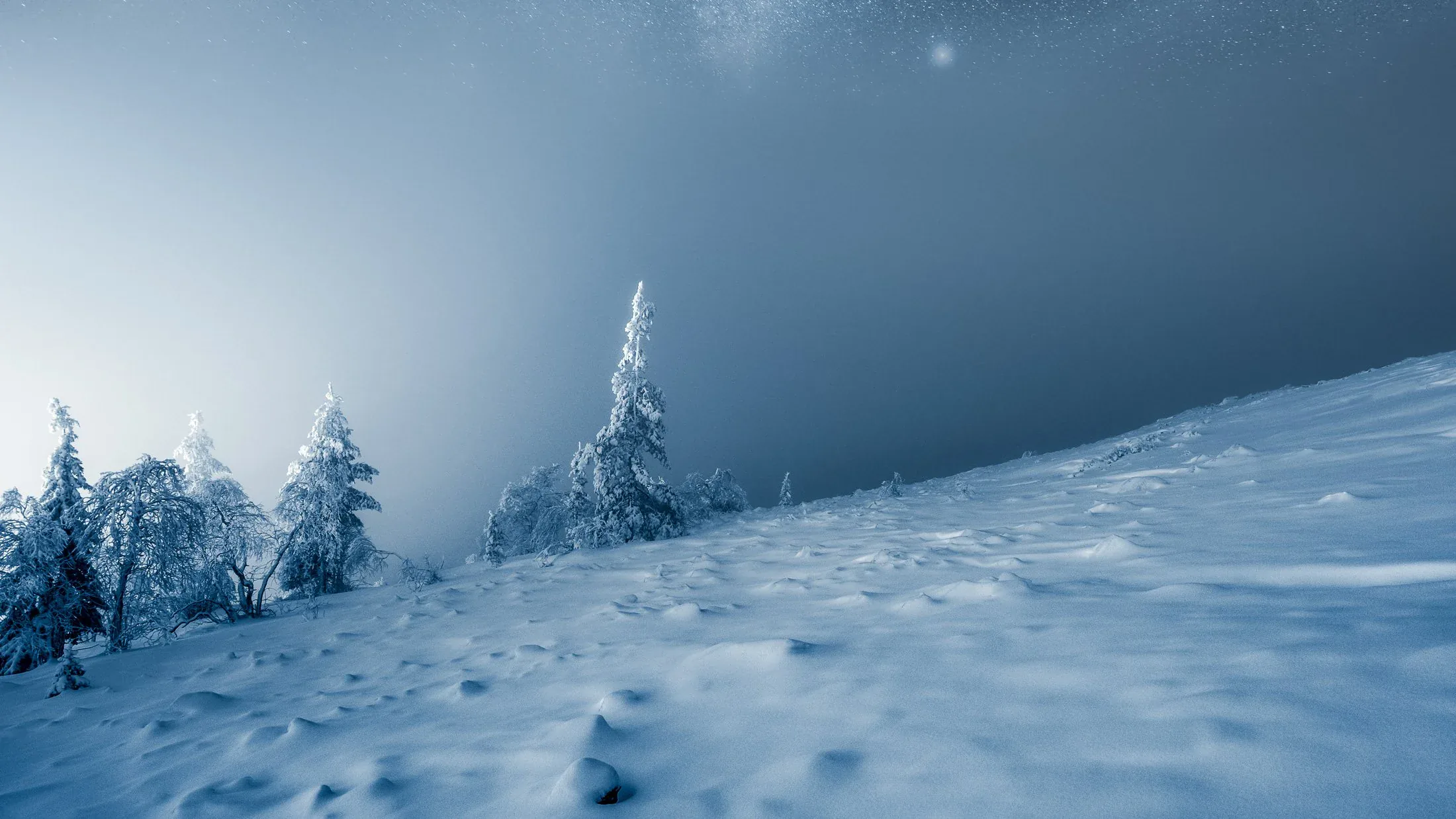 Snow-covered tree line beside dark winter water from the Resilience collection by Mikko Lagerstedt