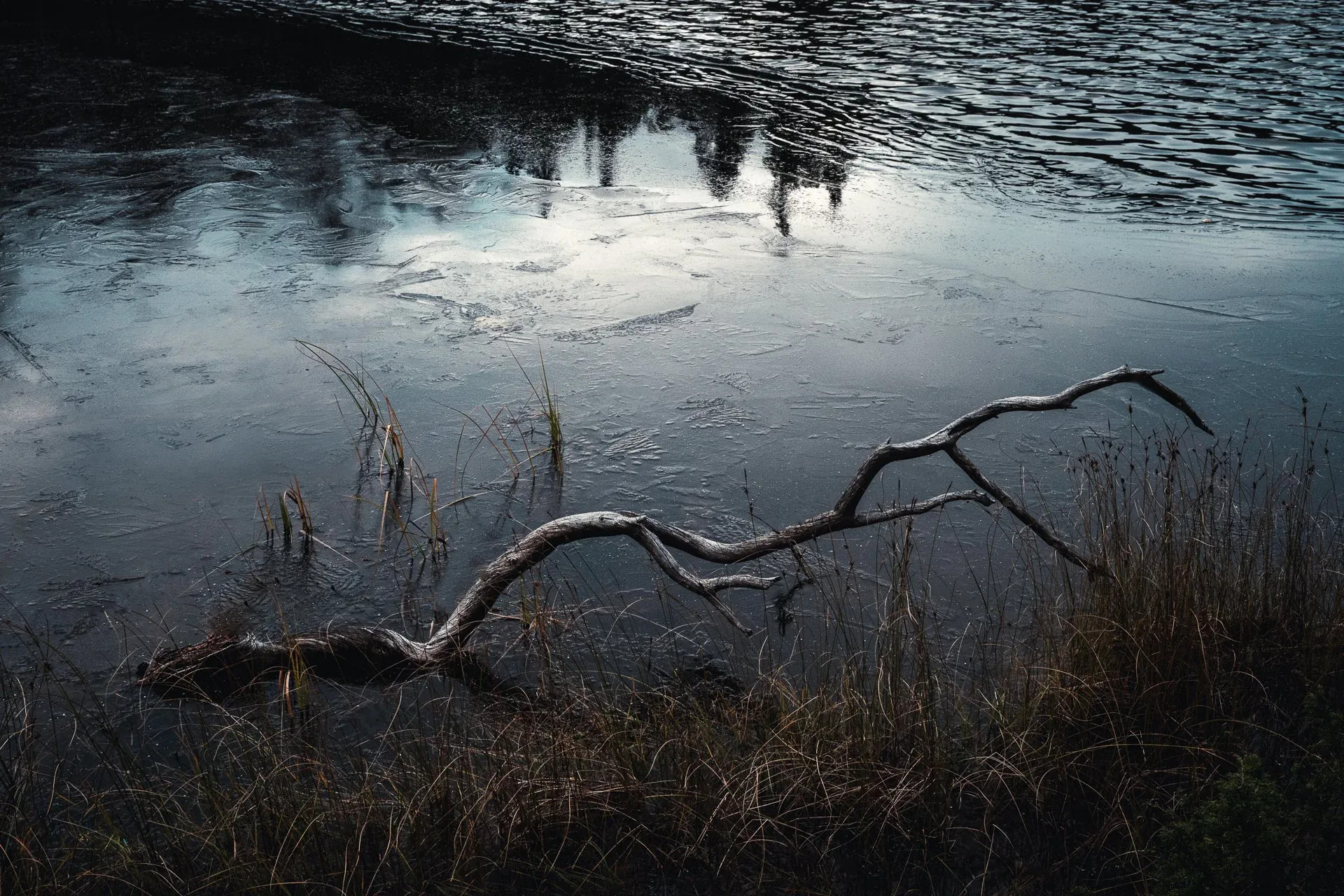 Dark Lake, an atmospheric landscape photograph from the Selected Work collection by Mikko Lagerstedt.