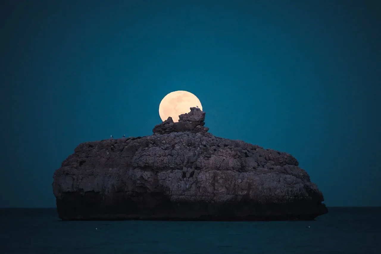 Night campaign photograph from a Nikon collaboration