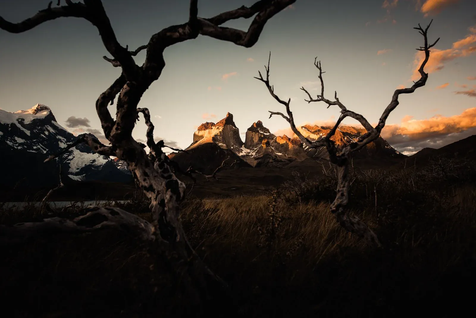 Open Patagonian landscape with distant horizon and calm light