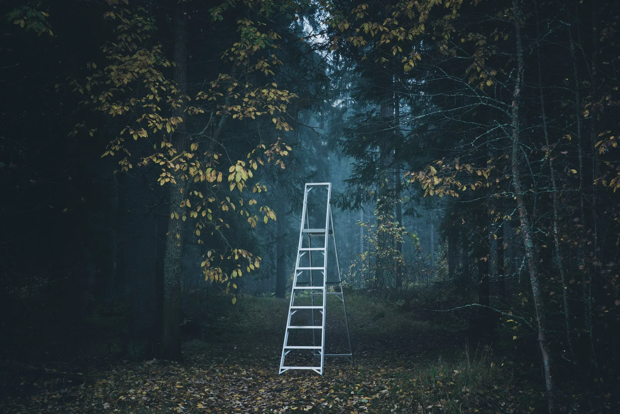 Suomi-Tikas Autumn, an atmospheric landscape photograph from the Selected Work collection by Mikko Lagerstedt.