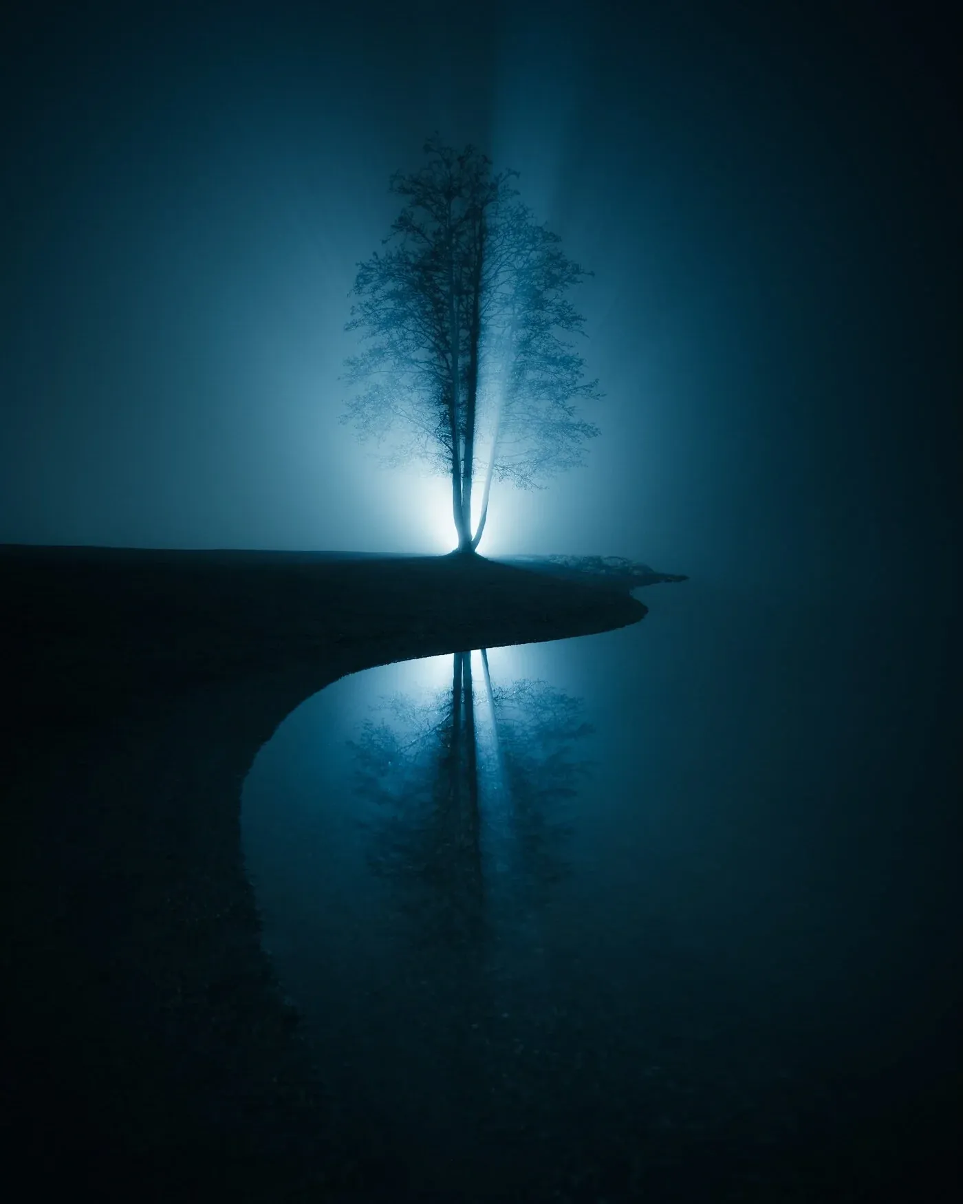 A backlit tree reflected in still water with luminous fog around it in Jarvenpaa